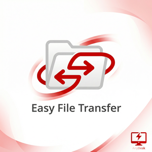 【anydesk官网】品牌 - AnyDesk远程控制在IT运维中的应用